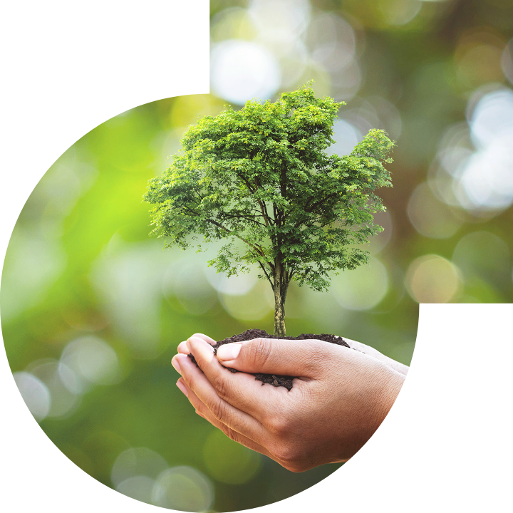 關懷人類、文化、環境與社會